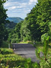 Maxey Road, Arcadia, MI 49613