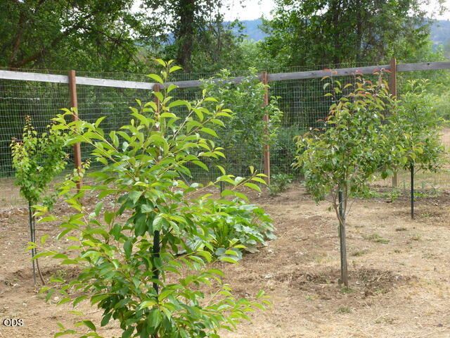410 Lancelot Lane, Merlin, OR 97532
