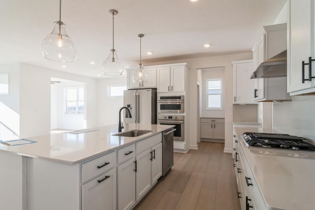 20141 Ginseng Way, Lakeville, MN 55044