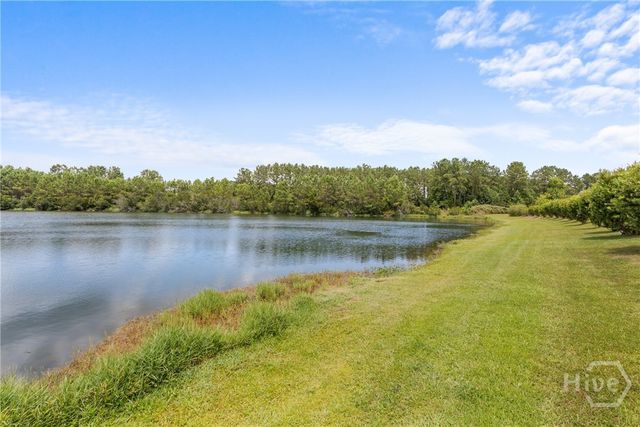 160 Lake Lily Drive, Richmond Hill, GA 31324