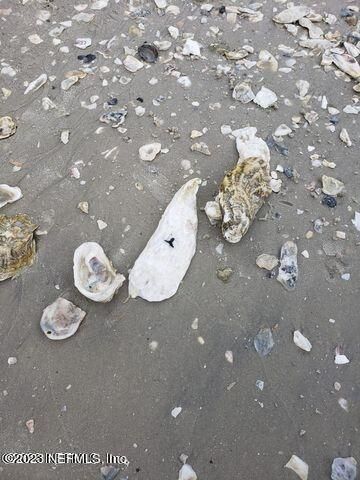 10020 HECKSCHER Drive, Jacksonville, FL 32226