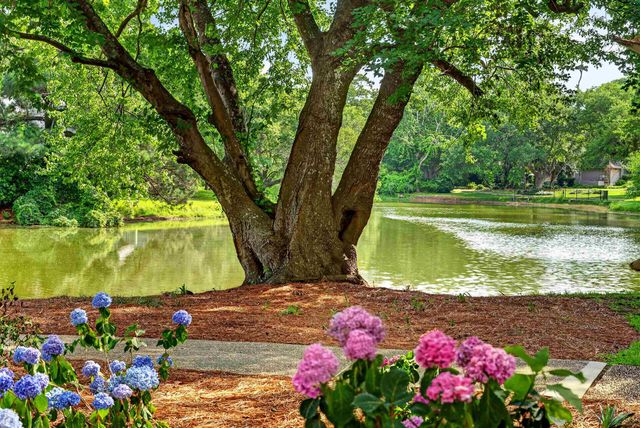 110 Hartland Dr Apt 15D, Myrtle Beach, SC 29572
