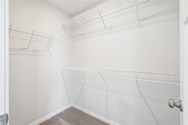 1319 NW Reinhart Drive, Ankeny, IA 50023