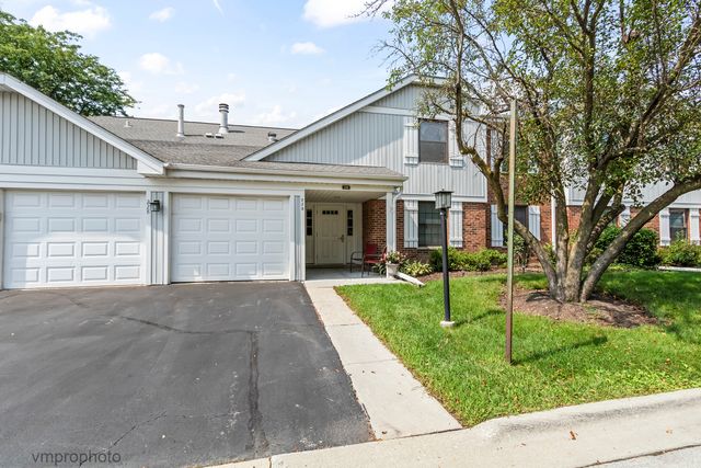 228 Arrowwood Court B2, Schaumburg, IL 60193
