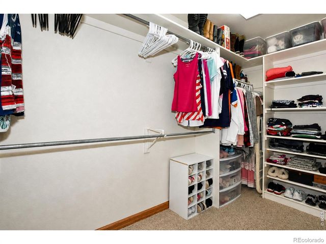 7163 W Canberra Street, Greeley, CO 80634