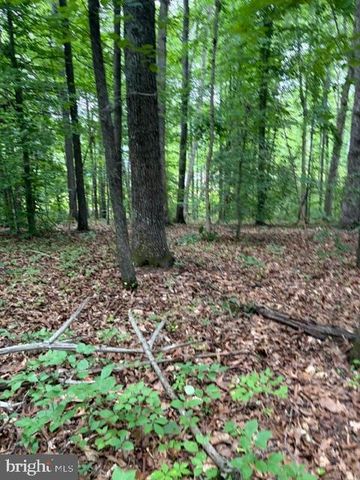 15413 DRUMMERS LN, Orange, VA 22960