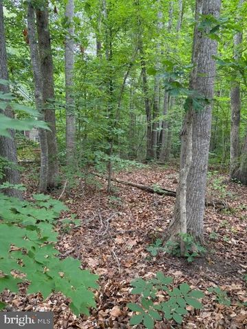 15413 DRUMMERS LN, Orange, VA 22960