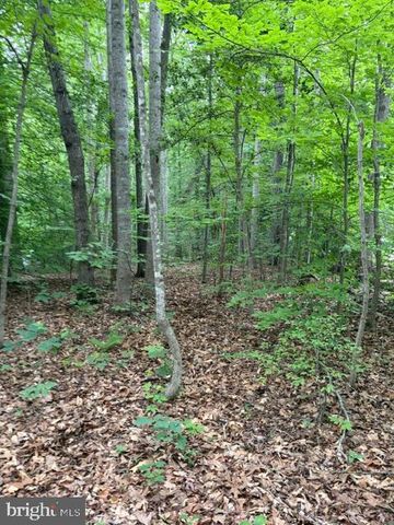 15413 DRUMMERS LN, Orange, VA 22960