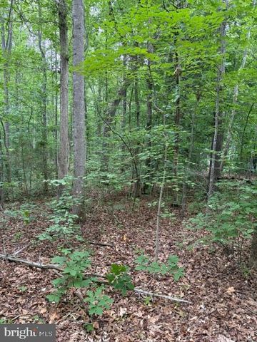 15413 DRUMMERS LN, Orange, VA 22960