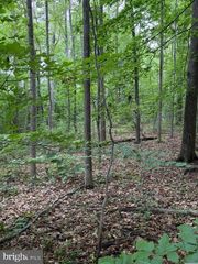 15413 DRUMMERS LN, Orange, VA 22960