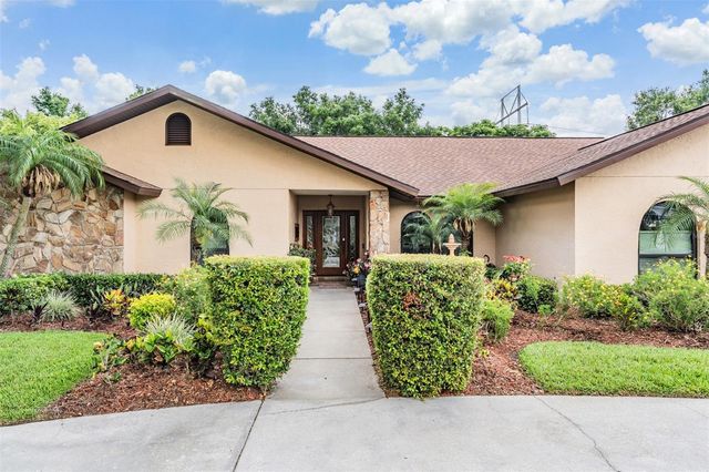 13203 SPINDLEWYCK COVE, Riverview, FL 33569