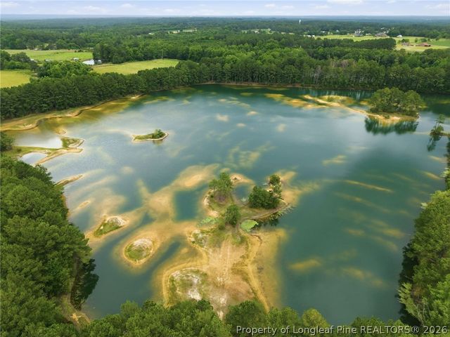 1008 Joe Collins Road, Lillington, NC 27546