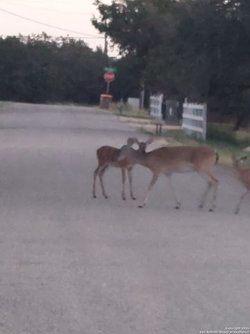 621 GLEN OAKS DR, Canyon Lake, TX 78133