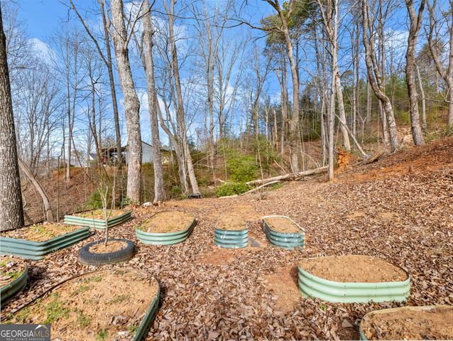 221 Grand View Drive, Cleveland, GA 30528