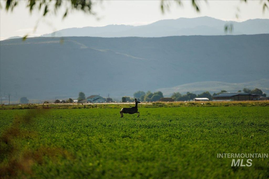 3127 Us Hwy 95, Cambridge, ID 83610 photo 11