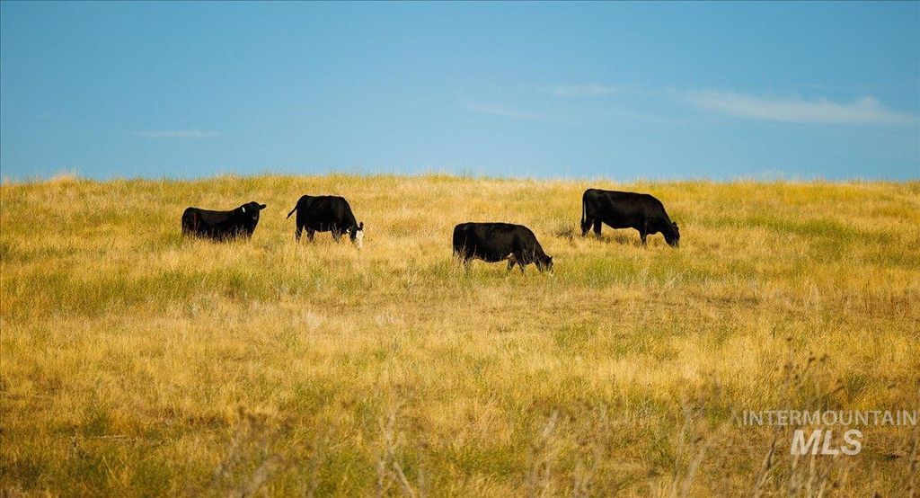 3127 Us Hwy 95, Cambridge, ID 83610 photo 17