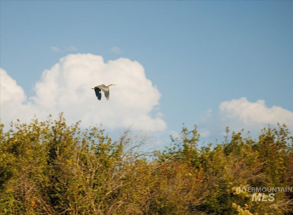 3127 Us Hwy 95, Cambridge, ID 83610 photo 19