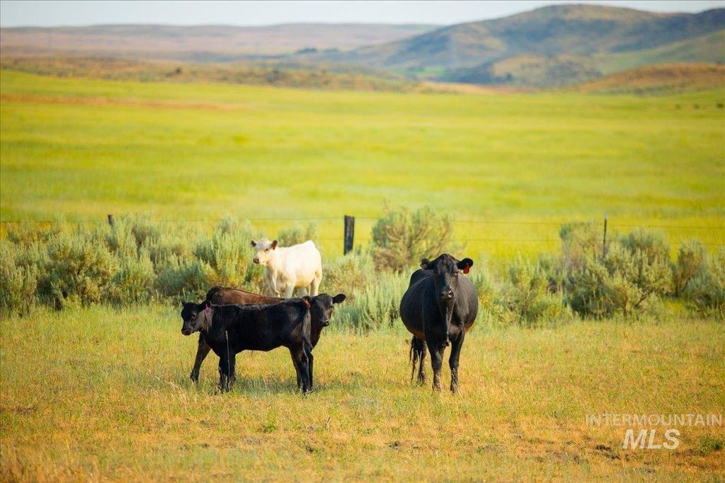 3127 Us Hwy 95, Cambridge, ID 83610 photo 29