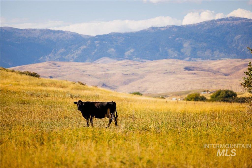 3127 Us Hwy 95, Cambridge, ID 83610 photo 30