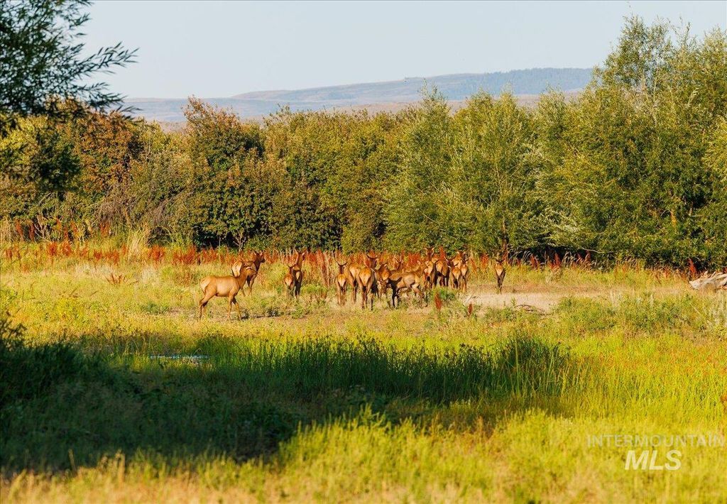 3127 Us Hwy 95, Cambridge, ID 83610 photo 8