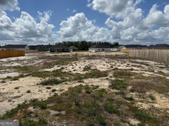 157 NE Deerfield Drive, Ludowici, GA 31316