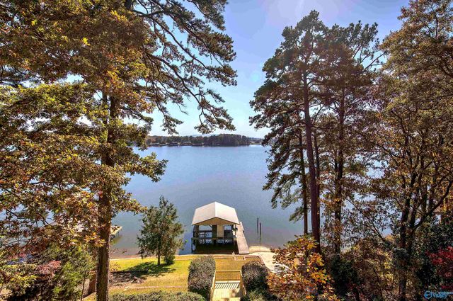 1004 County Road 146, Leesburg, AL 35983