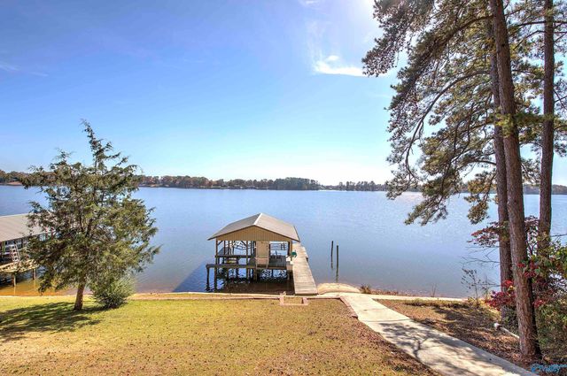 1004 County Road 146, Leesburg, AL 35983