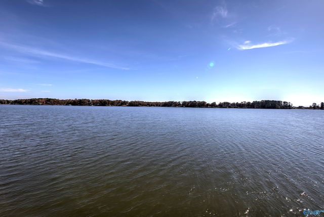 1004 County Road 146, Leesburg, AL 35983