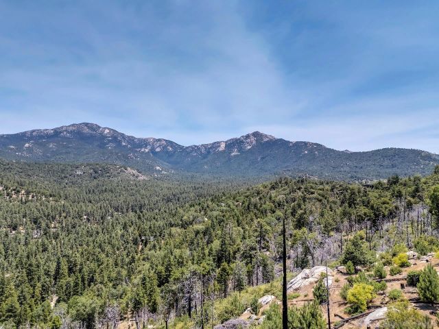 52440 DOUBLE VIEW DRIVE, Idyllwild, CA 92549