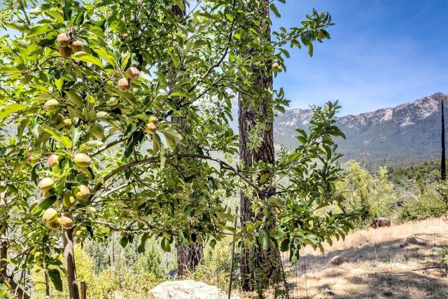 52440 DOUBLE VIEW DRIVE, Idyllwild, CA 92549