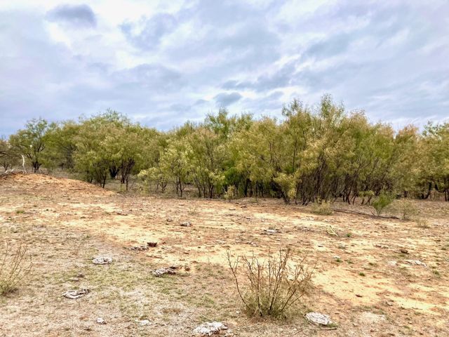 25AC Tract 4 Hwy 6, Moran, TX 76464
