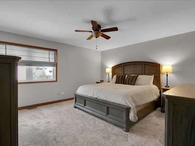 6796 Red Wing Drive, Woodridge, IL 60517