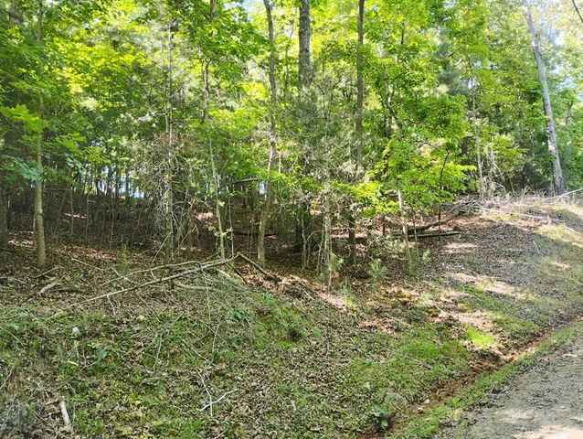 0 Gladstone Court, Ellijay, GA 30540