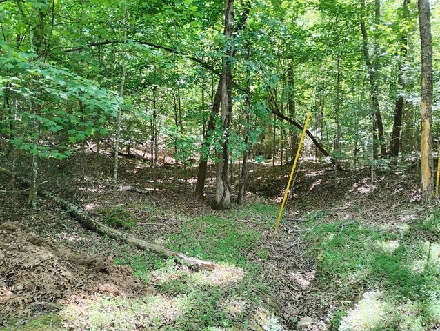0 Gladstone Court, Ellijay, GA 30540