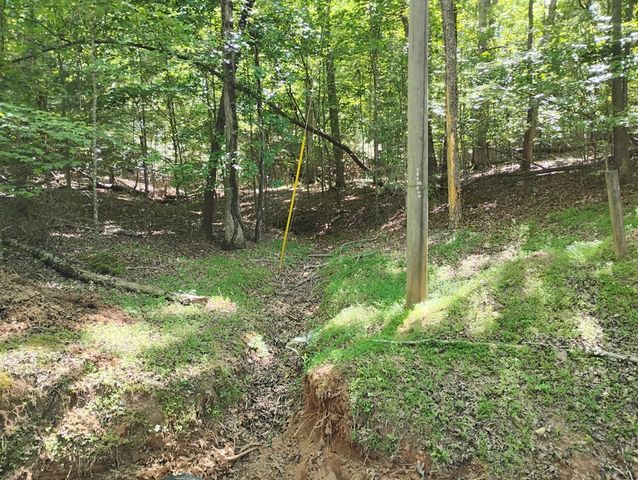 0 Gladstone Court, Ellijay, GA 30540