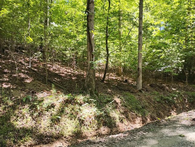 0 Gladstone Court, Ellijay, GA 30540