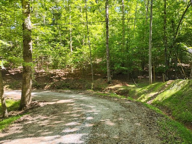 0 Gladstone Court, Ellijay, GA 30540