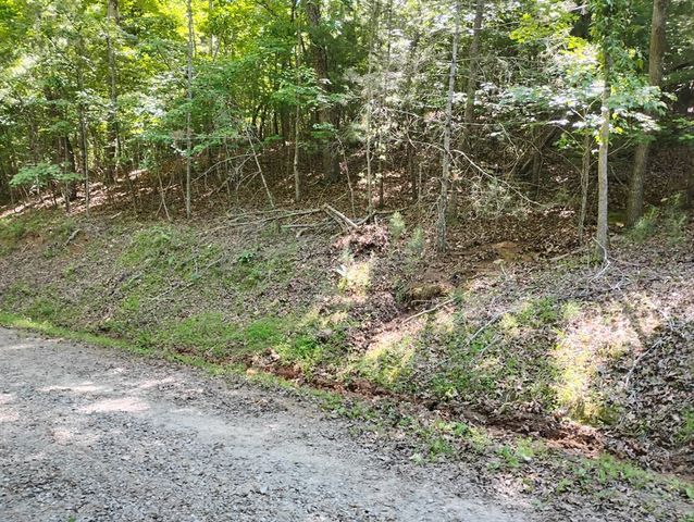 0 Gladstone Court, Ellijay, GA 30540