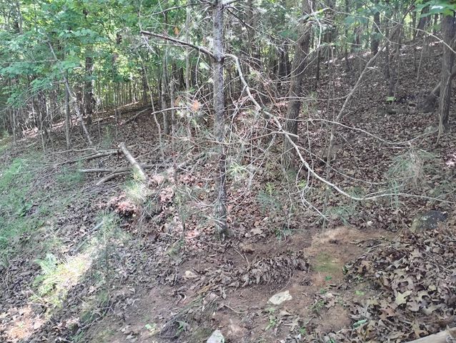 0 Gladstone Court, Ellijay, GA 30540