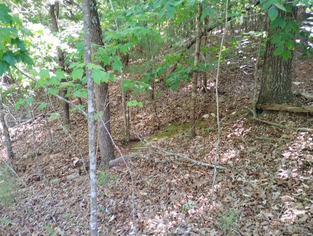 0 Gladstone Court, Ellijay, GA 30540