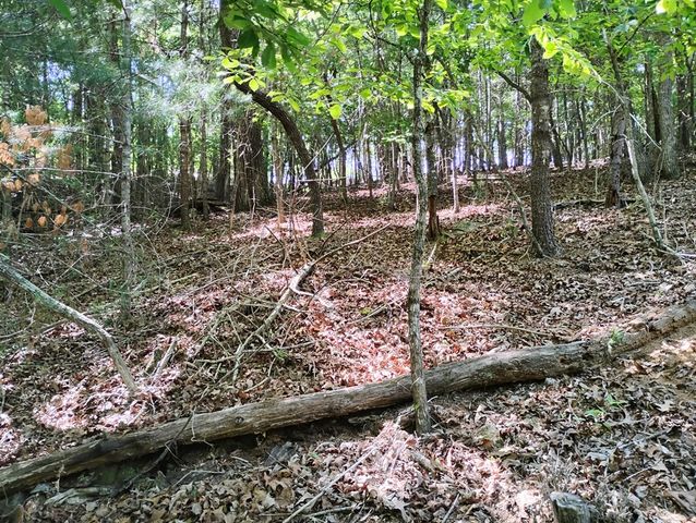0 Gladstone Court, Ellijay, GA 30540