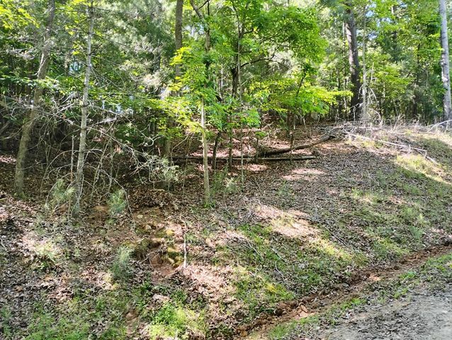 0 Gladstone Court, Ellijay, GA 30540