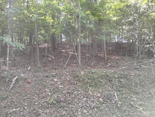 0 Gladstone Court, Ellijay, GA 30540