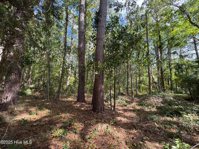 257 Clark Road, Bath, NC 27808