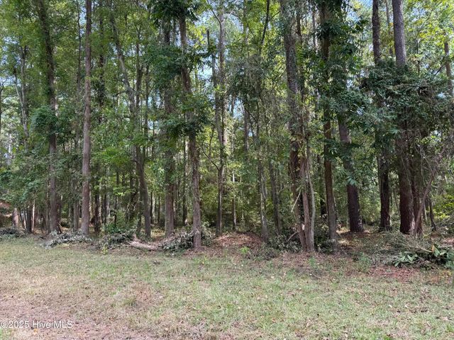 257 Clark Road, Bath, NC 27808