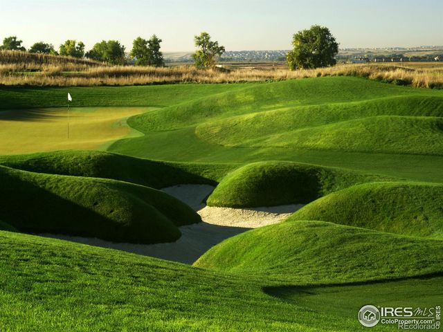 6719 Morning Song Court, Timnath, CO 80547