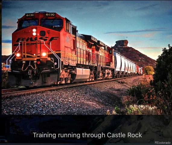 474 Black Feather Loop 401, Castle Rock, CO 80104
