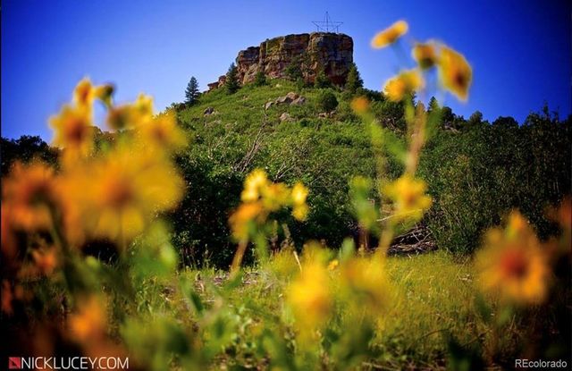 474 Black Feather Loop 401, Castle Rock, CO 80104