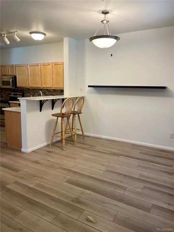 474 Black Feather Loop 401, Castle Rock, CO 80104
