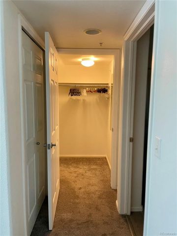 474 Black Feather Loop 401, Castle Rock, CO 80104